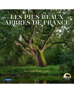 Calendrier 2026 : les plus beaux arbres de France
