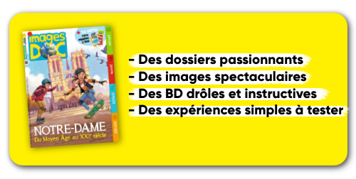 Images Doc - 12 n° par an