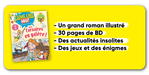 J'aime lire Max - 12 n° par an