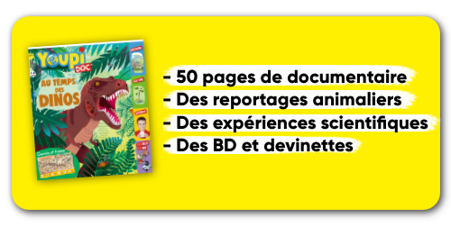 Youpi Doc - 12 n° par an