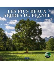 Le calendrier : Les plus beaux arbres de France 